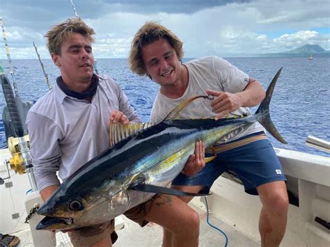 Big Game Fishing in Mauritius Deep Sea, Dolphins Watch, Prices.